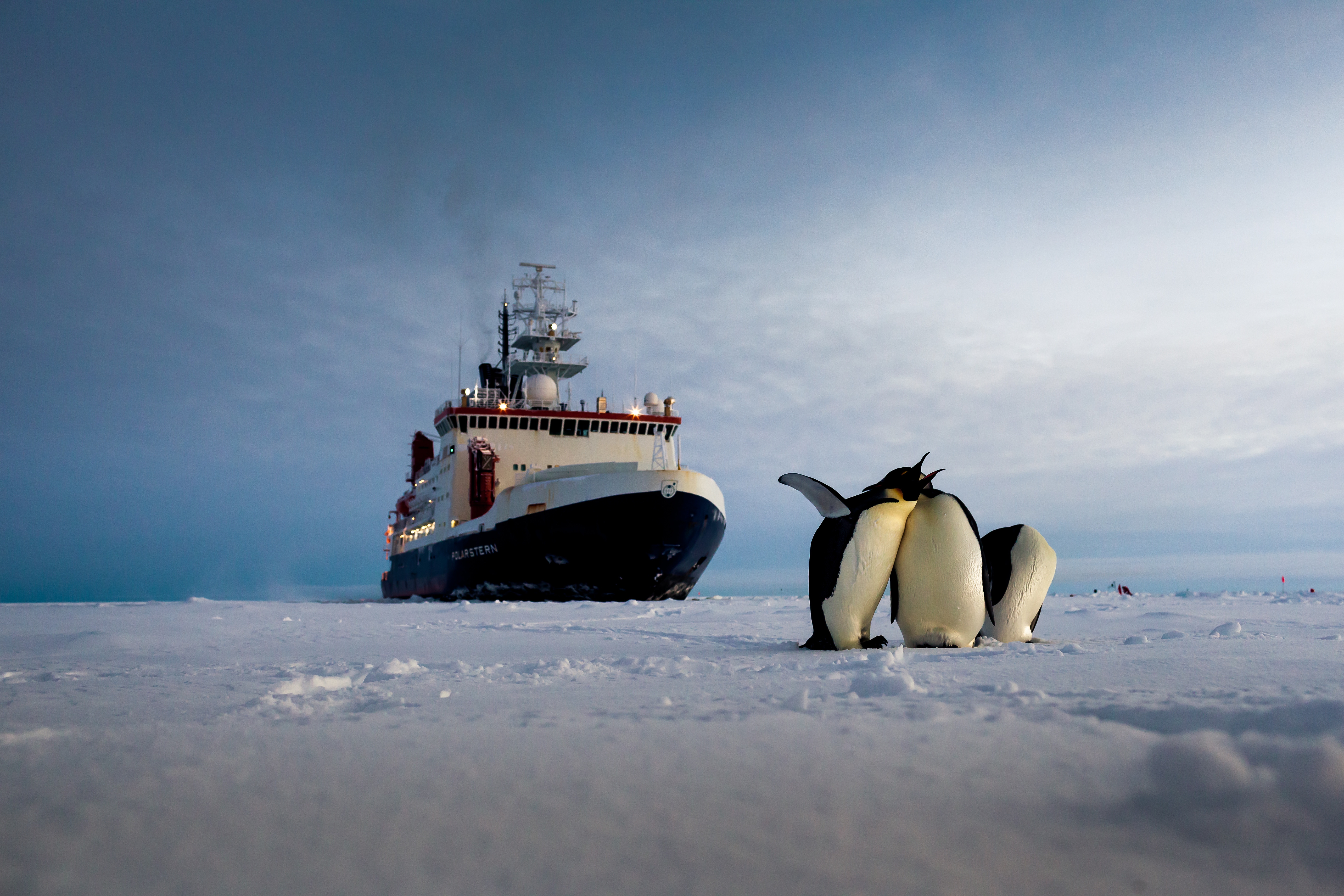 Полярные экспедиции на Арктику